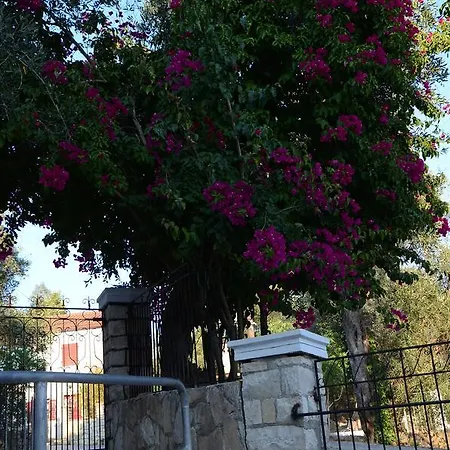 Natsios Aparthotel *